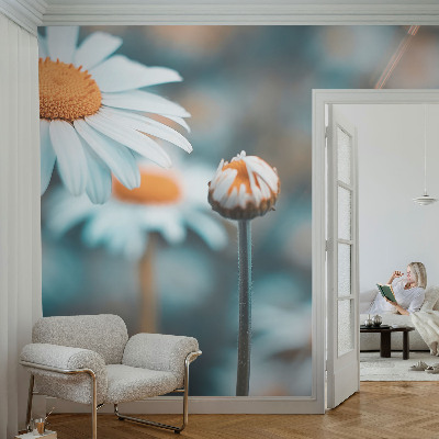 Fototapet för barn Kamomilldelikatess