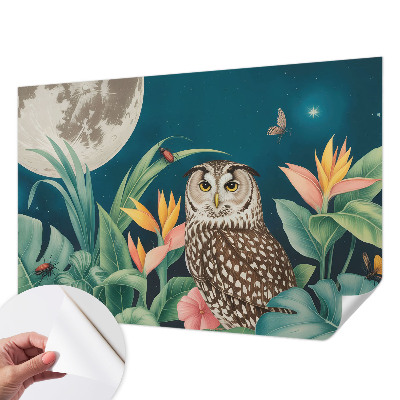 3D fototapet Månsafari