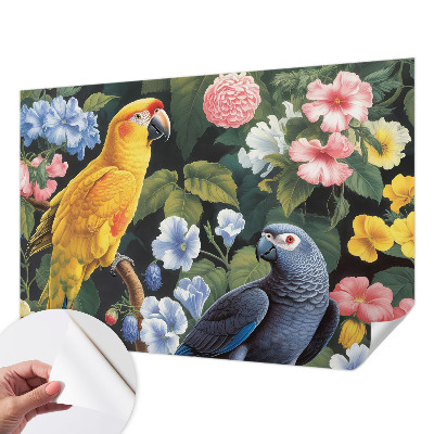 Självhäftande fototapet Exotiska fåglar