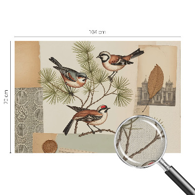 Självhäftande fototapet Fågelkollage