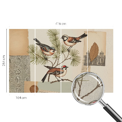 Självhäftande fototapet Fågelkollage