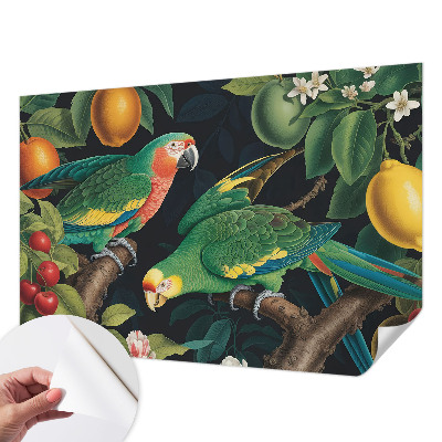 Peel and stick fototapet med motiv av ett tropiskt äventyr