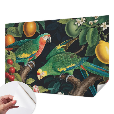 Peel and stick fototapet med motiv av ett tropiskt äventyr
