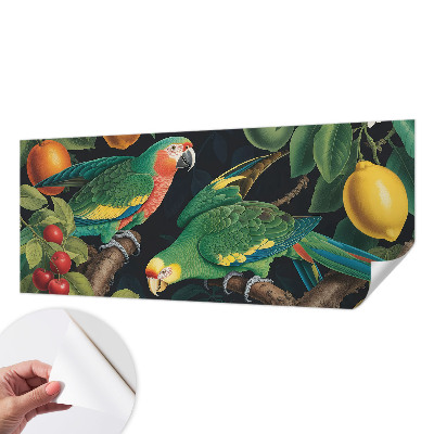 Peel and stick fototapet med motiv av ett tropiskt äventyr