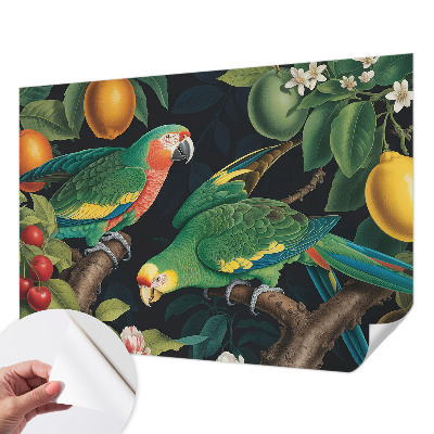 Peel and stick fototapet med motiv av ett tropiskt äventyr