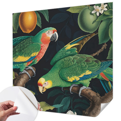 Peel and stick fototapet med motiv av ett tropiskt äventyr