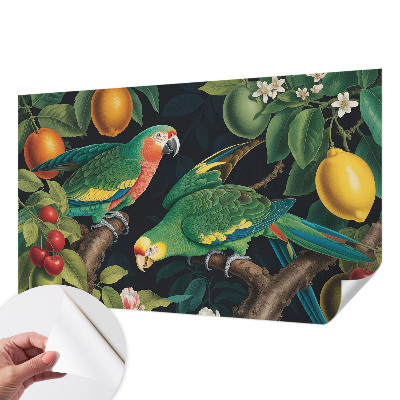 Peel and stick fototapet med motiv av ett tropiskt äventyr