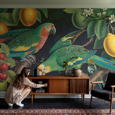 Peel and stick fototapet Tropiskt äventyr