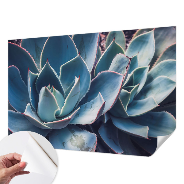 3D fototapet Grön aloe