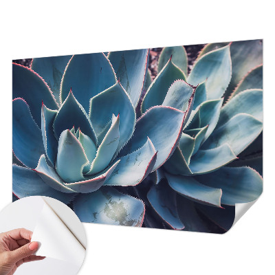 3D fototapet Grön aloe