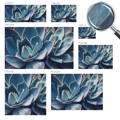 3D fototapet med motiv av grön aloe