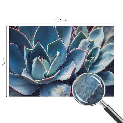 3D fototapet Grön aloe