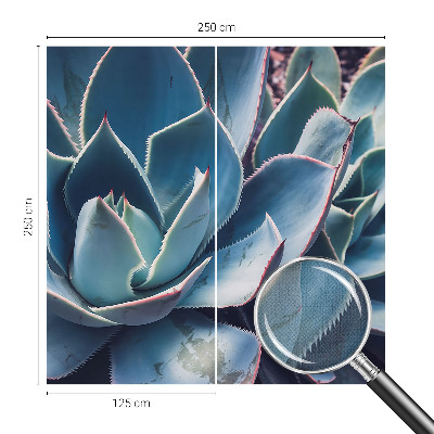 3D fototapet Grön aloe