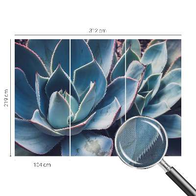 3D fototapet Grön aloe