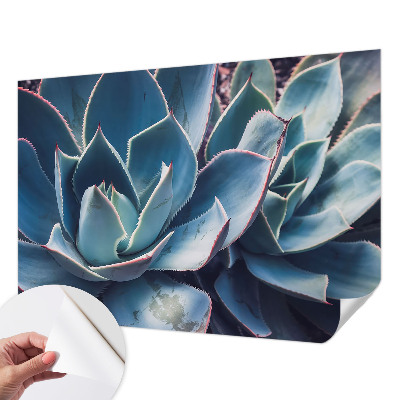 3D fototapet med motiv av grön aloe