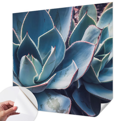 3D fototapet Grön aloe