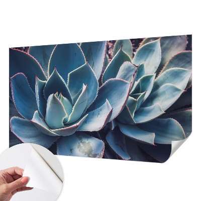 3D fototapet med motiv av grön aloe