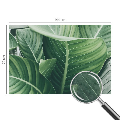 Självhäftande fototapet Grön fred