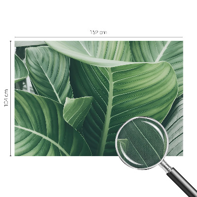 Självhäftande fototapet Grön fred