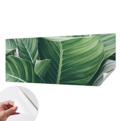 Självhäftande fototapet Grön fred