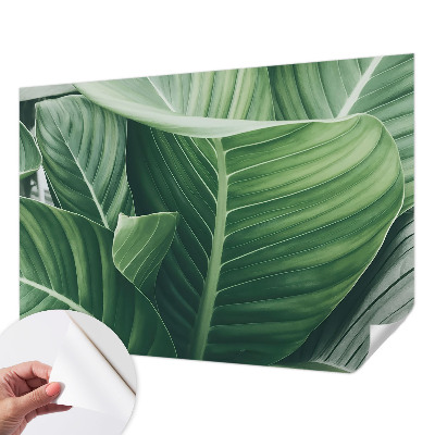 Självhäftande fototapet Grön fred