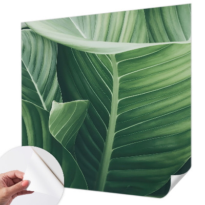 Självhäftande fototapet Grön fred