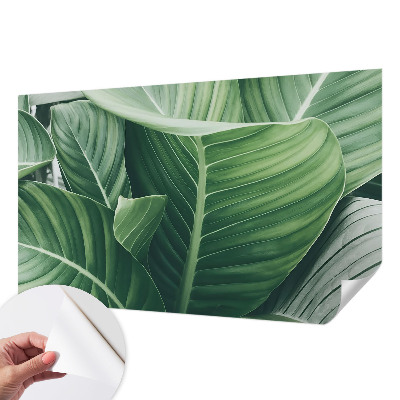 Självhäftande fototapet Grön fred