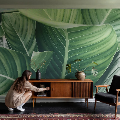 Självhäftande fototapet Grön fred