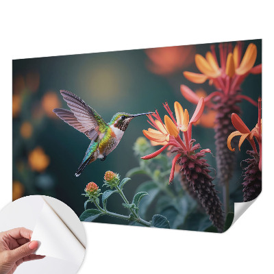 Peel and stick fototapet med motiv av kolibriblommor