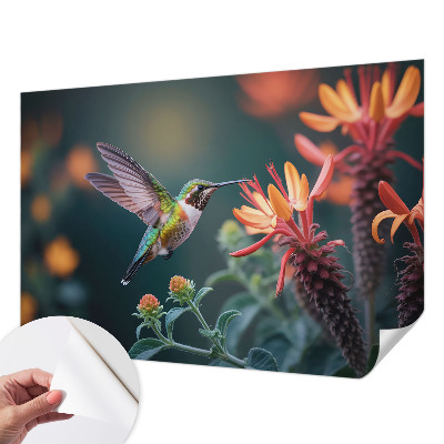 Peel and stick fototapet med motiv av kolibriblommor