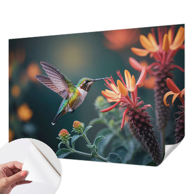 Peel and stick fototapet med motiv av kolibriblommor
