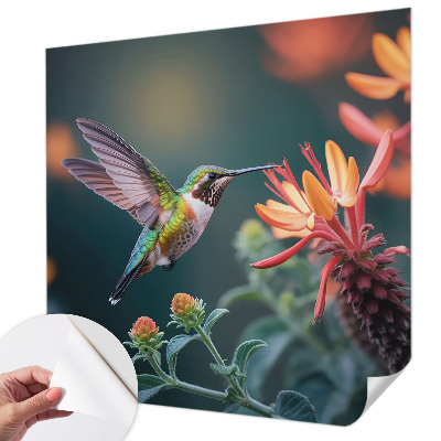 Peel and stick fototapet med motiv av kolibriblommor