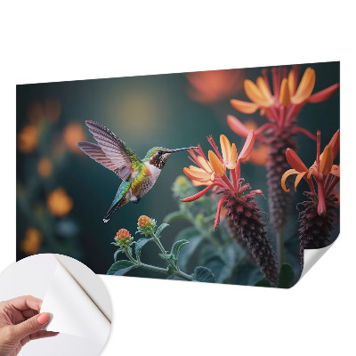 Peel and stick fototapet med motiv av kolibriblommor