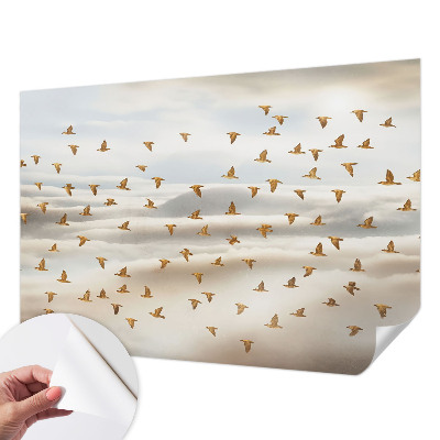 Peel and stick fototapet med motiv av flygande fåglar