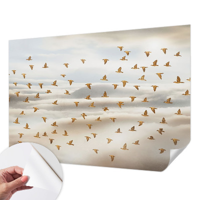 Peel and stick fototapet med motiv av flygande fåglar