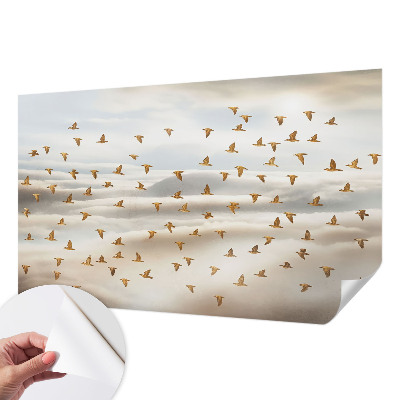 Peel and stick fototapet med motiv av flygande fåglar