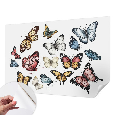 Fototapet barnrum Paradisfjärilar