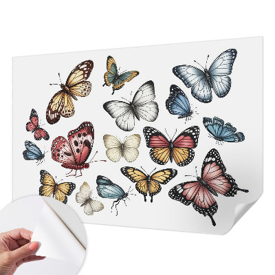 Fototapet barnrum Paradisfjärilar