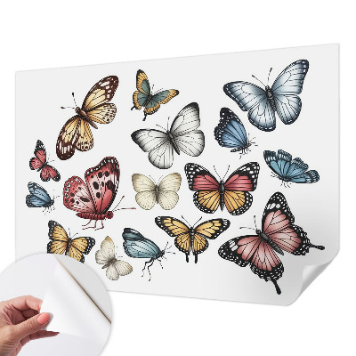 Fototapet barnrum Paradisfjärilar