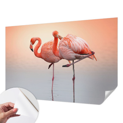 3D fototapet med motiv av delikata flamingos