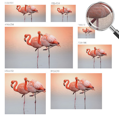 3D fototapet med motiv av delikata flamingos