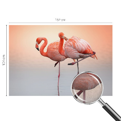 3D fototapet med motiv av delikata flamingos