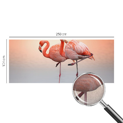 3D fototapet med motiv av delikata flamingos