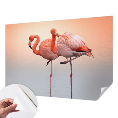 3D fototapet med motiv av delikata flamingos