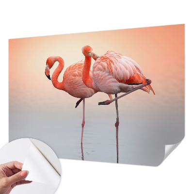 3D fototapet med motiv av delikata flamingos