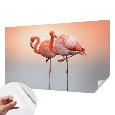 3D fototapet med motiv av delikata flamingos
