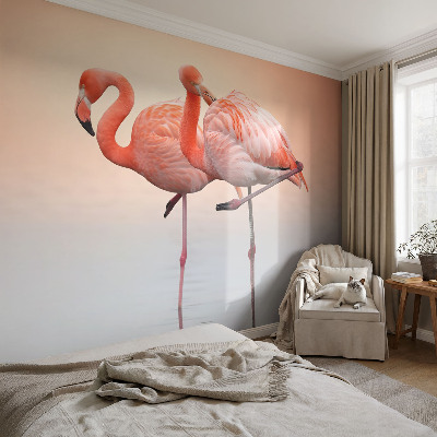 3D fototapet med motiv av delikata flamingos