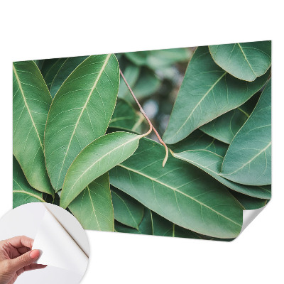 Självhäftande fotovägg Gröna blad