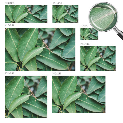 Självhäftande fotovägg Gröna blad