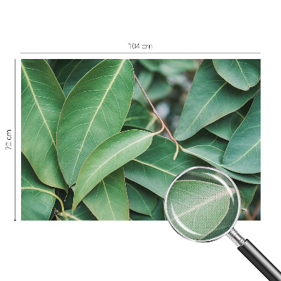 Självhäftande fotovägg Gröna blad